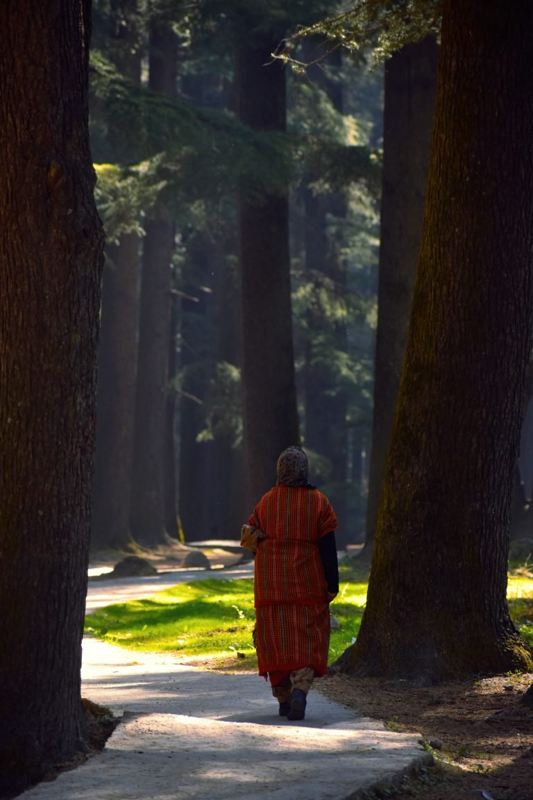 Manali Kasol Sissu Tour Package from Delhi – 4 Days 3 Nights photo 5